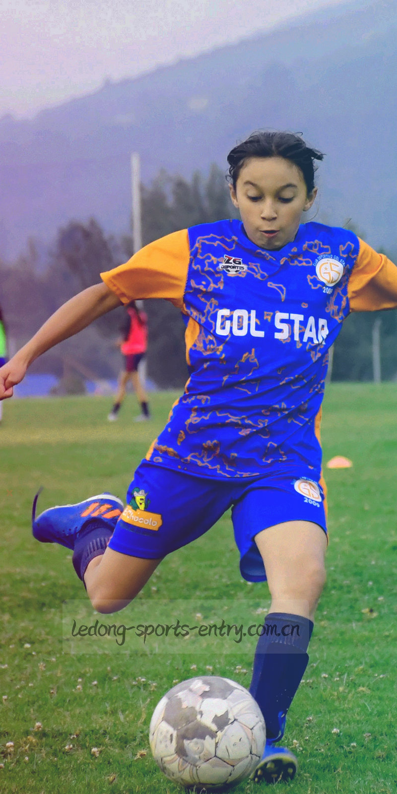 乐动体育平台安卓赛程中心手机界面示意